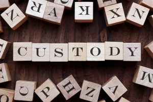 Child Custody Terms