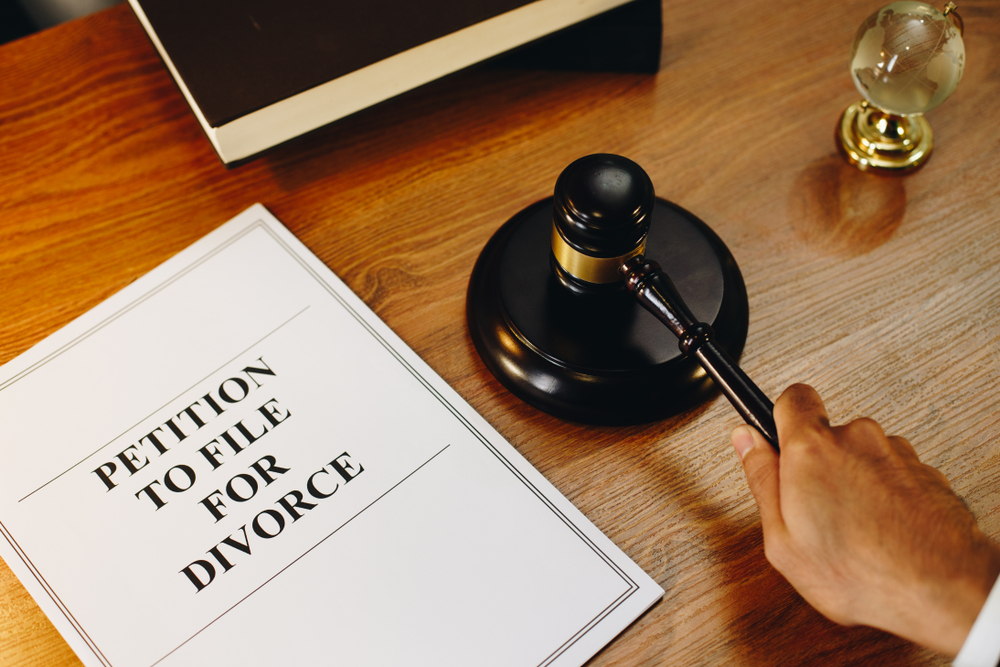 The Divorce Process Laurie Schmitt Family Law   Divorce Summons File 